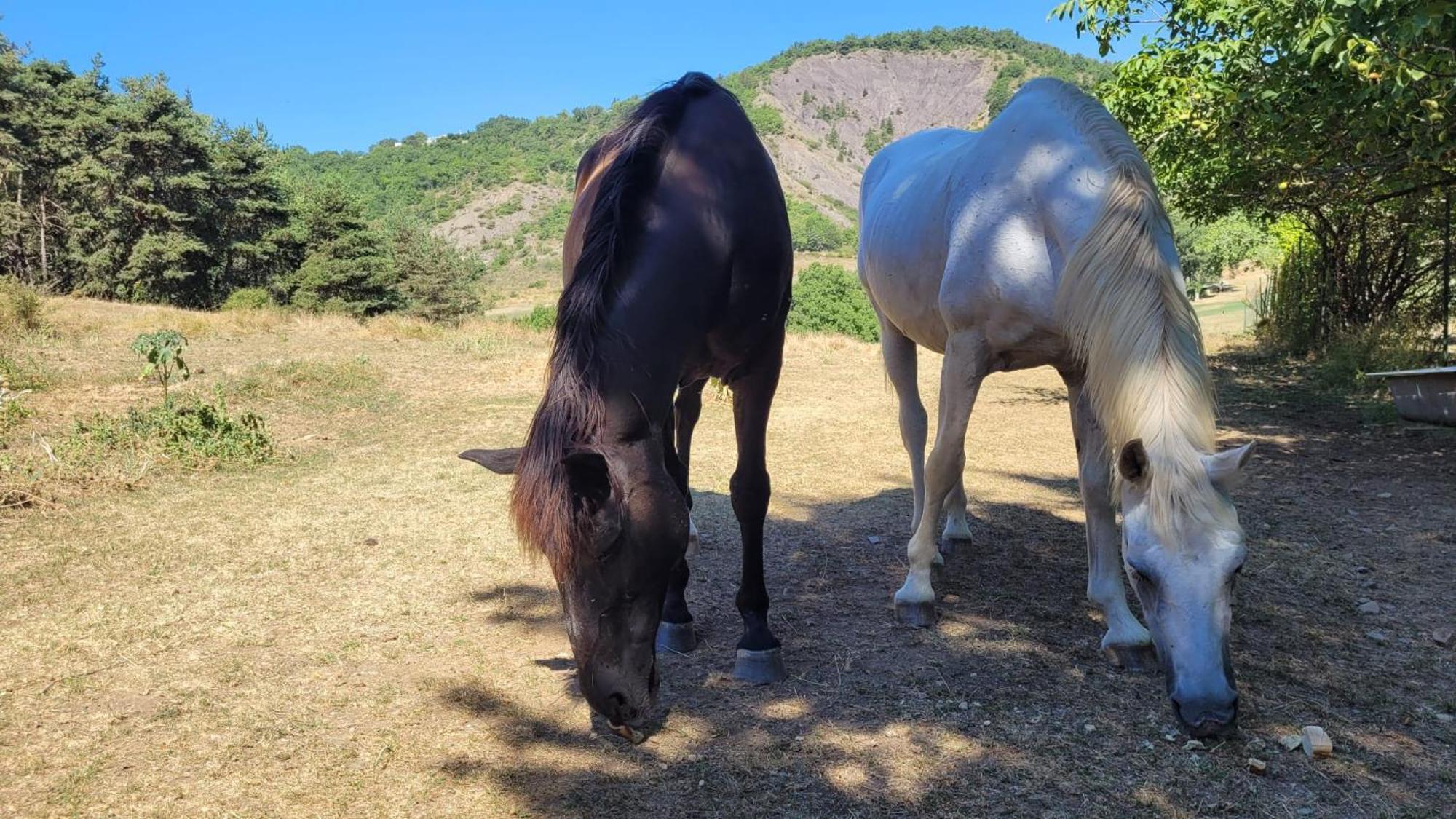 Chambre D'Hotes La Citadelle Lardier-et-Valenca Εξωτερικό φωτογραφία