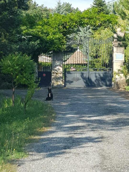 Chambre D'Hotes La Citadelle Lardier-et-Valenca Εξωτερικό φωτογραφία